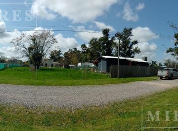 Terreno · 600m² · Lote en Venta Apto Credito, Sobre Calle Islandia Ingeniero Maschwitz