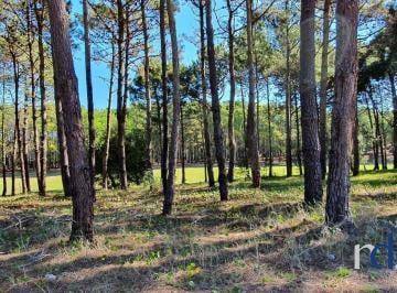 DEI-DEI-1475_2 · Lote en Venta en Pinamar Isla del Golf