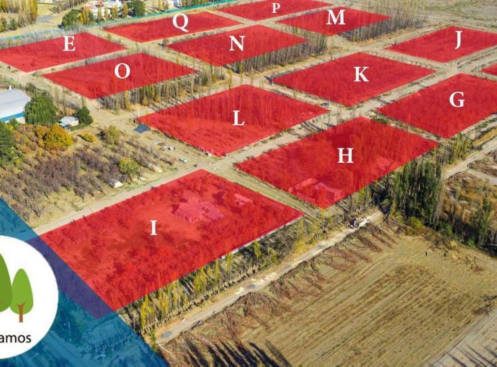 Terreno · 300m²