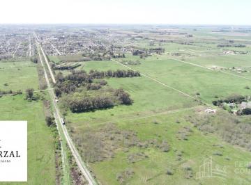 Campo · 10000m² · Chacras en Cañuelas