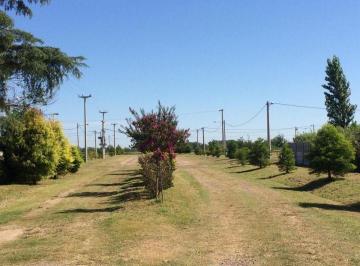 Terreno · 459m² · Terreno en Las Casuarinas