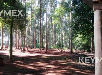 Campo · 958800m² · 5 Ambientes · 1 Cochera · Campo 95.88h en Campo Grande, Misiones