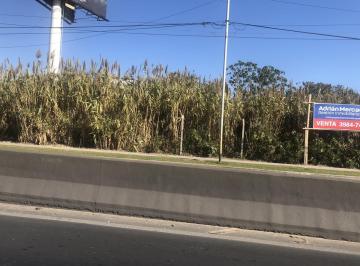 Terreno · 12000m² · Avellaneda Excelente Fraccion - Terreno de 12.000 m²