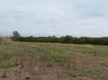 Terreno · 25495m² · Terreno 2 Ha con Escritura - El Gateado Cordoba