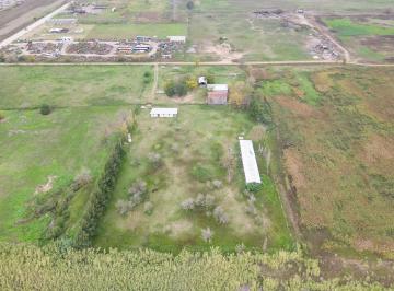 Campo · 320m² · 5 Ambientes · Venta - Campo - Perez.