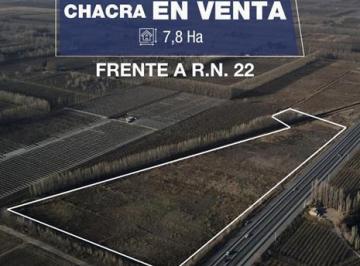 Campo · 78200m² · Chacra en Venta Sobre Ruta Nacional 22, Allen, Rio Negro