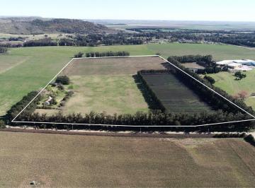 Campo · 200ha · Mar del Plata, Sierra de Los Padres - 21 Ha