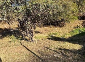 Foto · La Rufina Venta Terreno