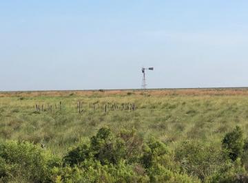Campo · 22000000m² · Campo en Santiago del Estero Apto Para Explotación Ganadera (2200 Ha)