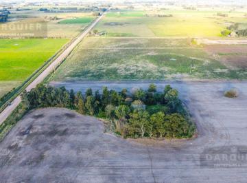 Campo · 194816m² · Chacra en San Miguel del Monte