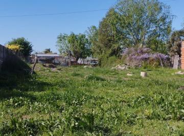 Terreno · 597m² · Terreno en Saladillo