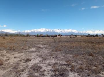Campo · 50000m² · Parcela Para Loteo en Valle de Uco, Mendoza (5 Ha)