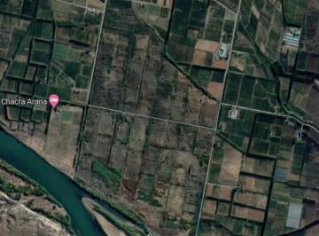 Campo · 95m² · Terreno Campo en Venta en Villa Regina, General Roca, Rio Negro