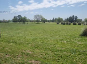 Terreno · 1494m² · Lote en Venta, a La Cancha de Golf, en Medal Cc Golf