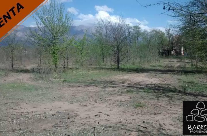 Terreno · 3986m²