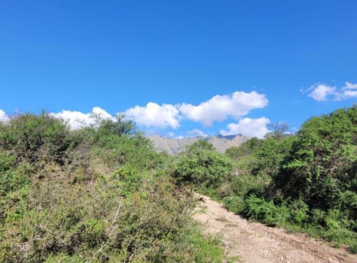 Terreno · 37000m²