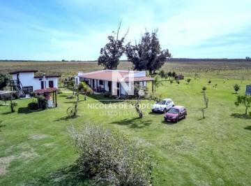 Foto1 · Vende Campo de 50 Ha, con Casa en Capilla de Cella.