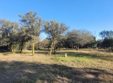 Foto · Terreno en Venta en Las Calles