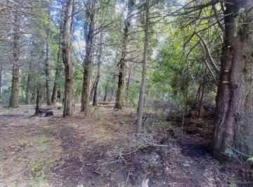 Terreno · 400m² · Terreno en Bariloche