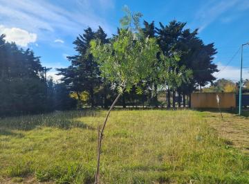 Terreno , La Plata · Terreno en Barrio Cerrado con Escritura en 137 Entre 423 y 424, Villa Elisa