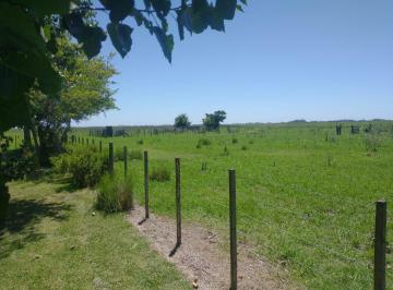 Campo · 97m² · 4 Ambientes · Campo Mixto en Chascomús - Permuta en La Plata