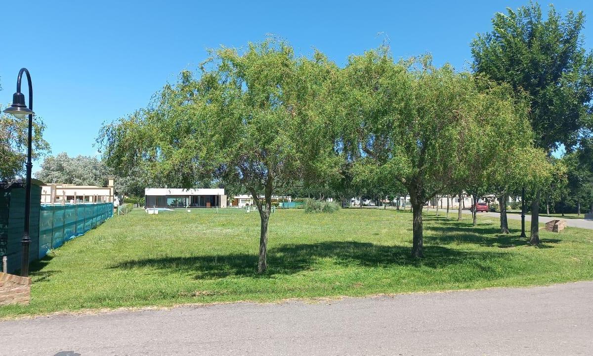 Haras del Sur 2,  Haras del Sur II, Brandsen