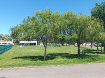Terreno · 1528m² · Terreno en Haras del Sur 2