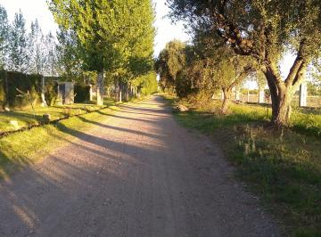 Terreno , San Rafael · Terreno Zona Residencial