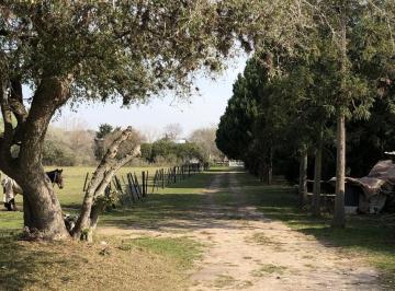 Campo · 20000m² · Chacra en Rio Lujan