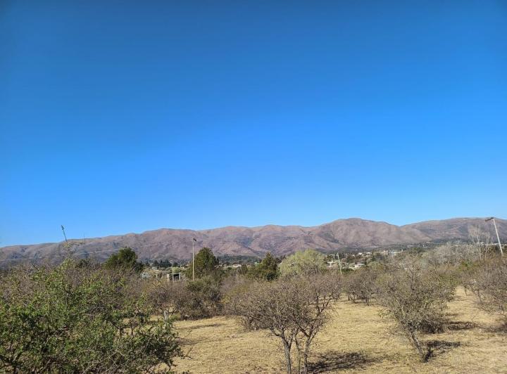 Terreno
