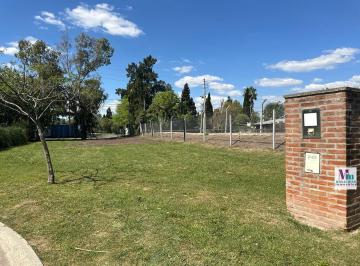 Terreno · 466m² · Oportunidad de Inversion:terreno Pilar del Este