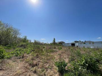 Bodega-Galpón · 2380m² · Terreno Industrial - Pilar