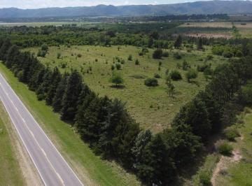 Terreno · 160000m² · Los Reartes - 16 Has - con Costa de Río - Recibe Menor