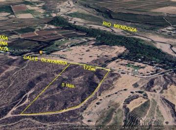 Campo · 49000m² · Finca en Venta en Lunlunta