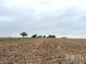 Campo · 2310000m² · 231 Ha Campo Mixto en Ramallo