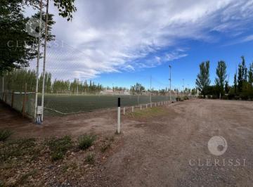 Campo , Cipolletti · Venta de 2.5 Has Para Desarrollo - Cipolletti