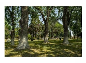 Terreno · 200m² · 4 Ambientes · 2 Cocheras · Terreno de 2 Has con Casa Quinta en Venta