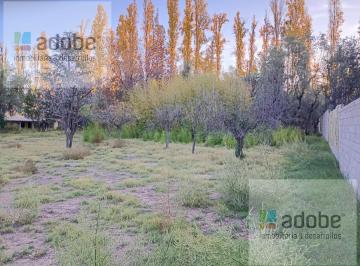 Terreno · 2900m² · Terreno en Venta a m de Calle Viamonte, Chacras de Coria