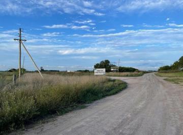 Campo · 60000m² · Chacra en Tio Domingo 6 Ha