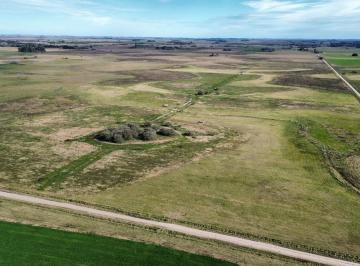 Campo · 500000m² · Campo en Venta General Madariaga