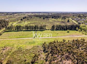Terreno · 70000m² · 1 Ambiente · Venta de Terreno de 70.000 m² en Canelones