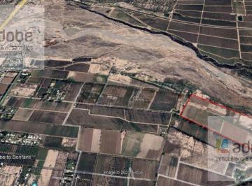 Campo · 240000ha · Finca de 24 Has Incultas en Perdriel