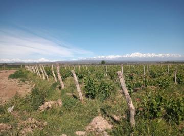 Campo · 60000m² · Finca de 6 Has en Venta en Alto Ugarteche