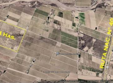 Campo · 740000m² · Finca de 74 Has Incultas Listas Para Plantar en Alto Ugarteche