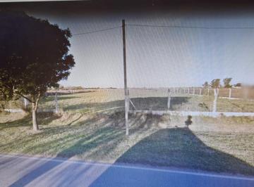 Terreno · 5753m² · Venta de Terreno/lote en Totoras - Santa Fe