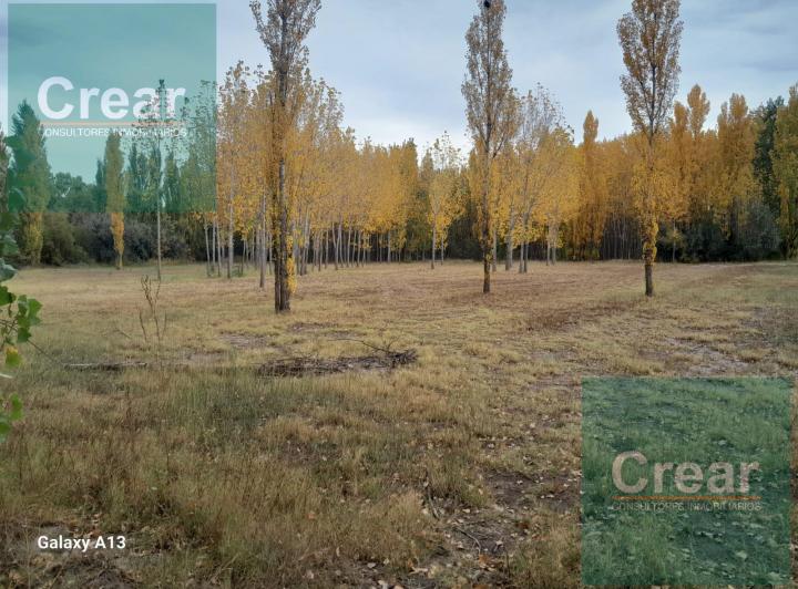 Campo · 50000m²