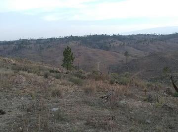 Terreno , Villa General Belgrano · En Venta 206 Ha en Athos Pampa - Tlc0903