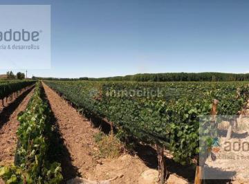 Campo · 90000ha · Finca en Venta en Carrizal del Medio