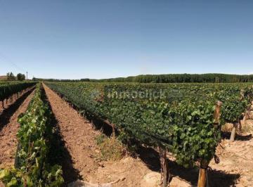 Campo · 460000m² · Finca en Venta en El Carrizal del Medio