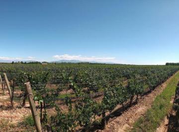 Campo · 2220000m² · Finca en Venta con Espectacular Viñedo de 222 Ha